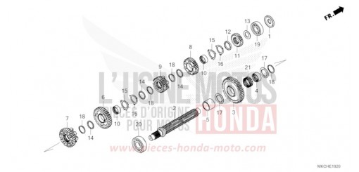 TRANSMISSION (COUNTERSHAFT) GL1800M de 2021